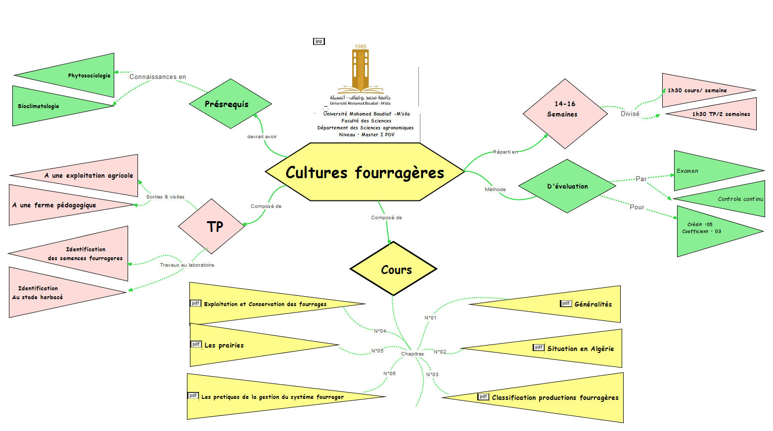 CARTE MENTALE DU COURS 